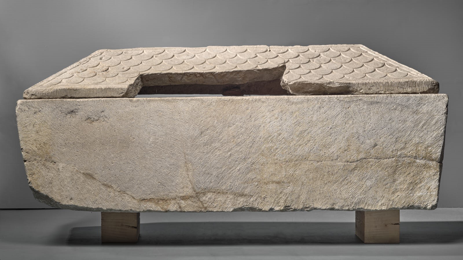 Sarcophage paléochrétien à décor de vigne_1