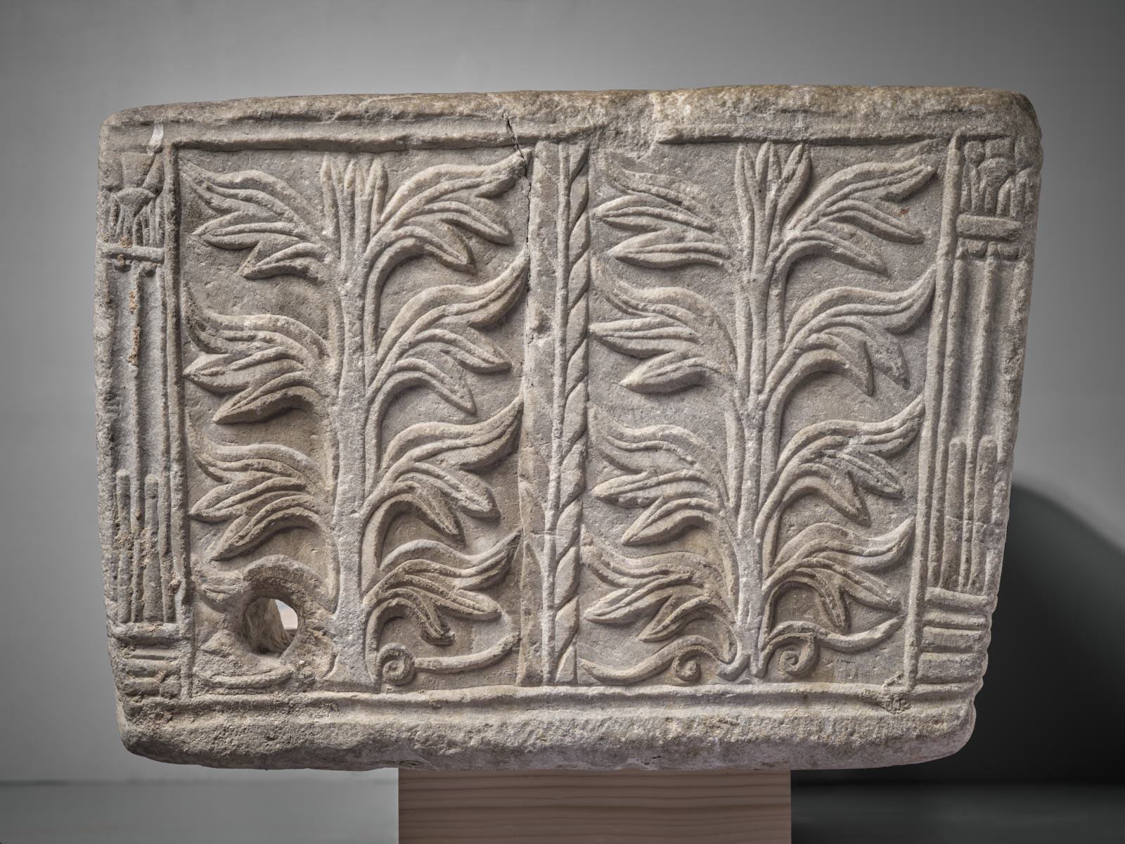 Cuve de sarcophage paléochrétien à décor de vigne et arbustes stylisés_3
