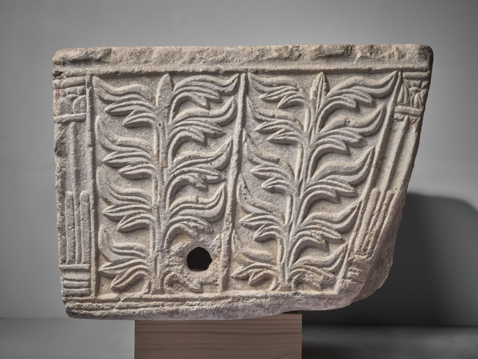 Cuve de sarcophage paléochrétien à décor de vigne et arbustes stylisés_2