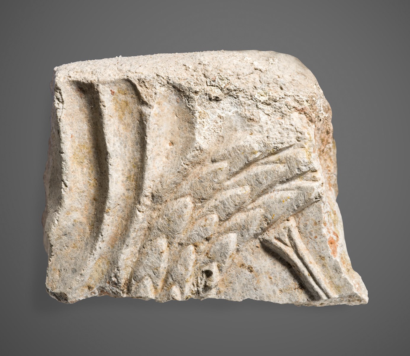 Fragment de sarcophage_0