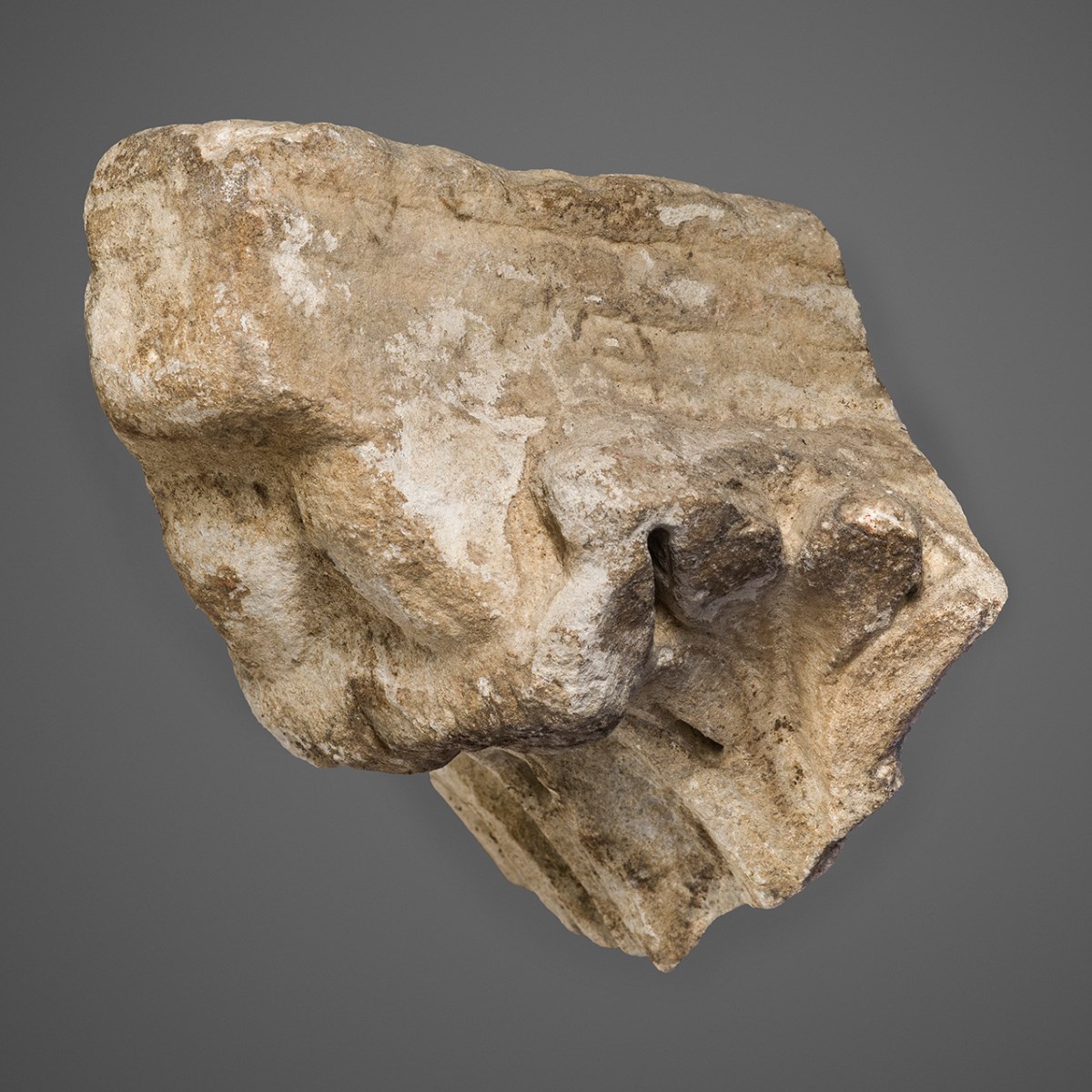 Fragment de crochet de chapiteau_0