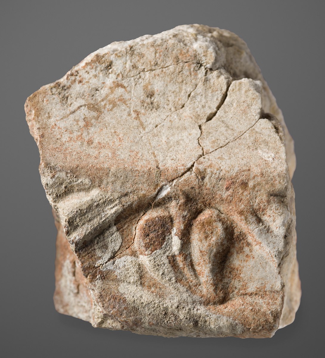 Fragment de sarcophage_0