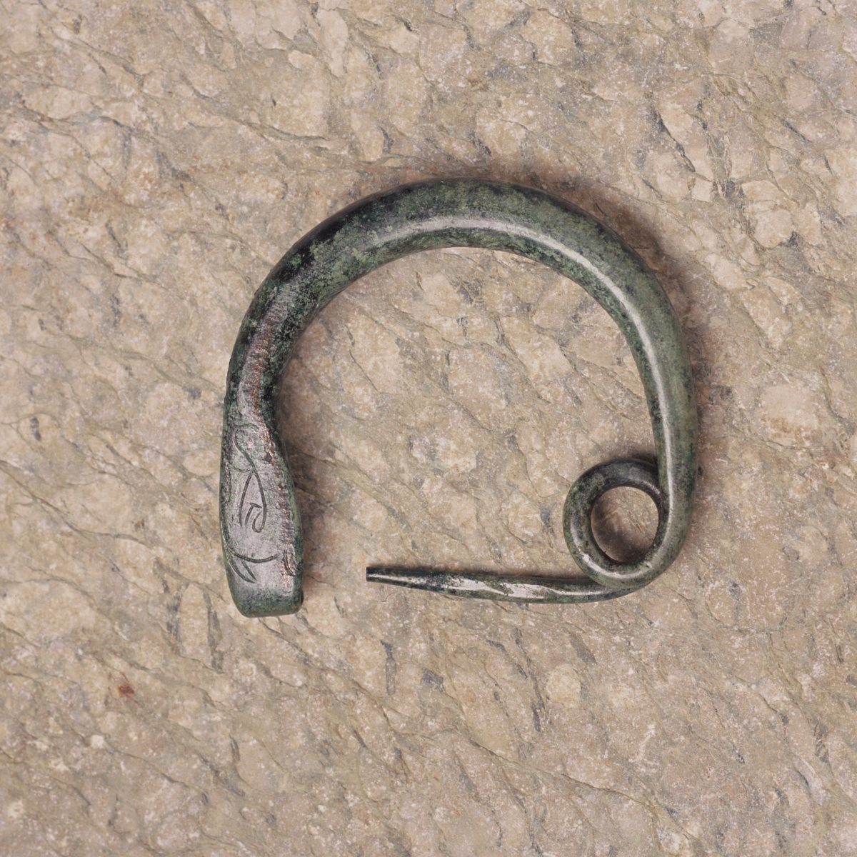 Fibule à une spire et arc renflé_0