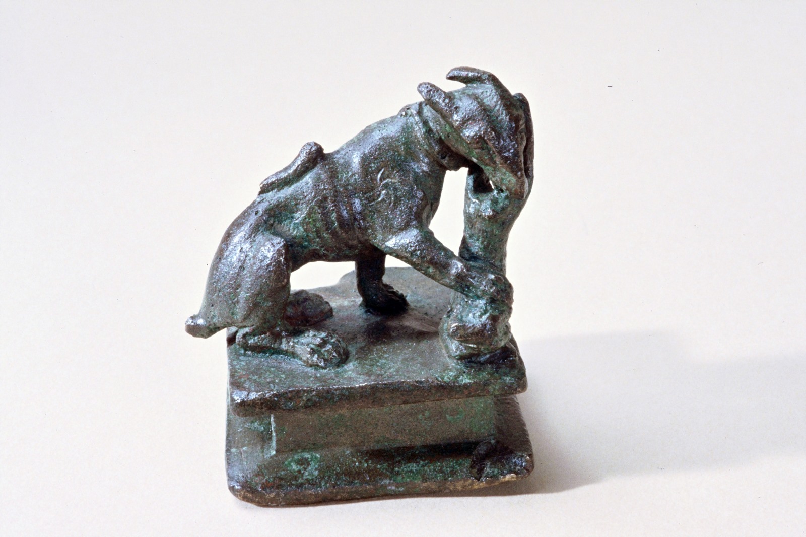 Chien dévorant un lapin ou un lièvre_0