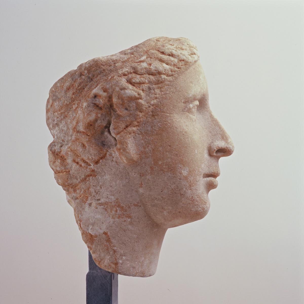 Portrait d'une femme de la famille royale des Lagides (ou Ptolémées) d'Egypte : Cléopâtre V Tryphène ? ; Portrait de Cléopâtre V Tryphène_1