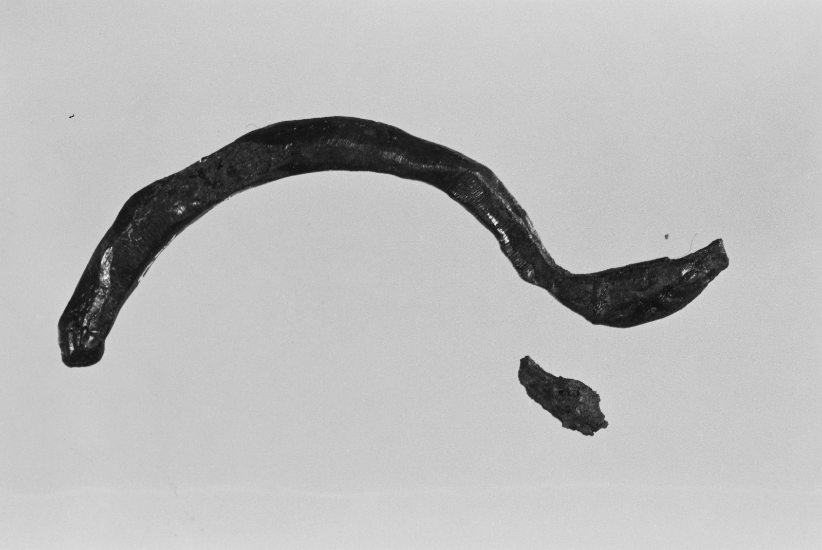 Fibule_0