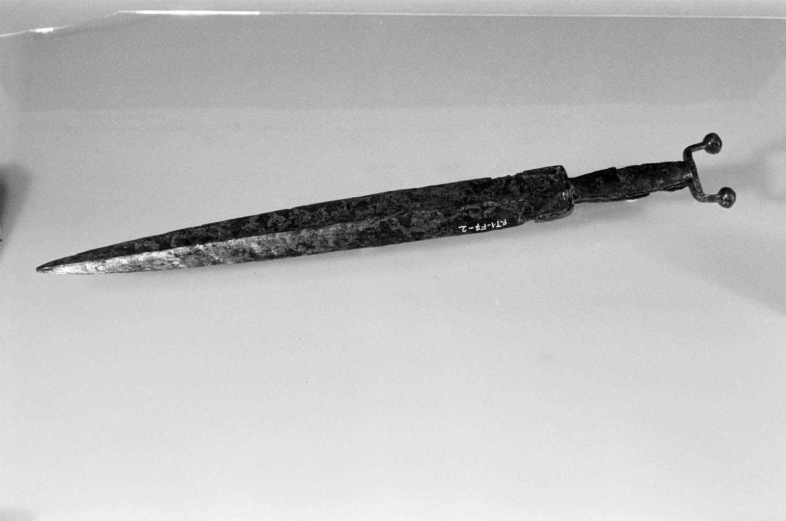 Épée à antennes_1