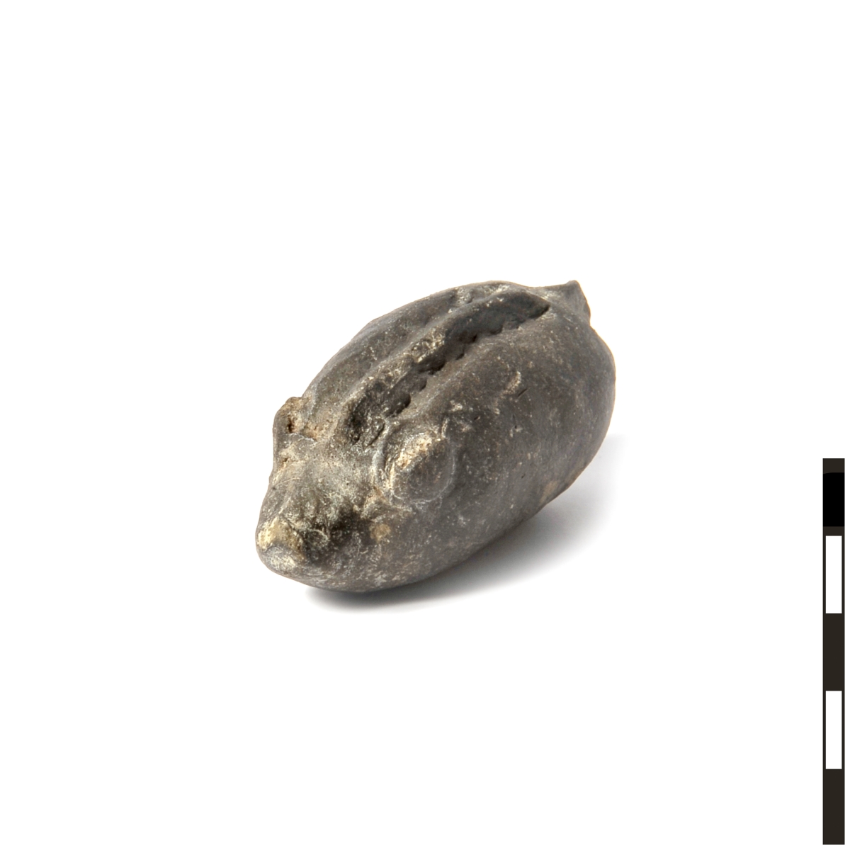 Figurine zoomorphe : sanglier_0