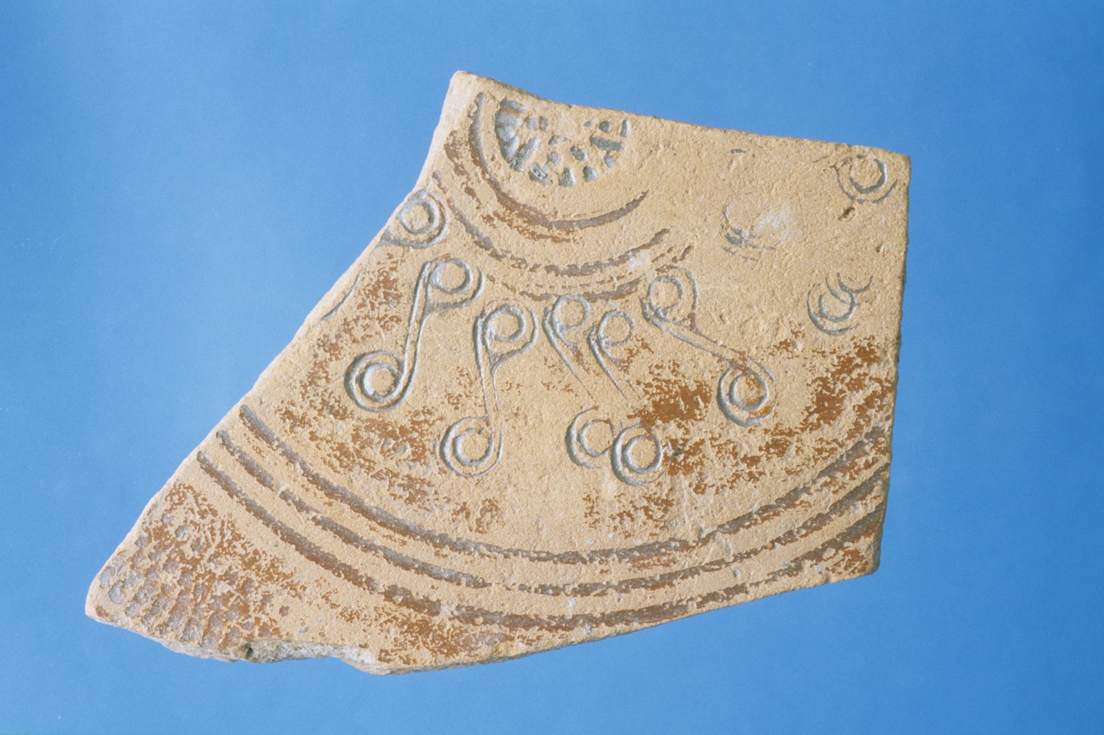 Fragment de fond de plat à décor estampé_0