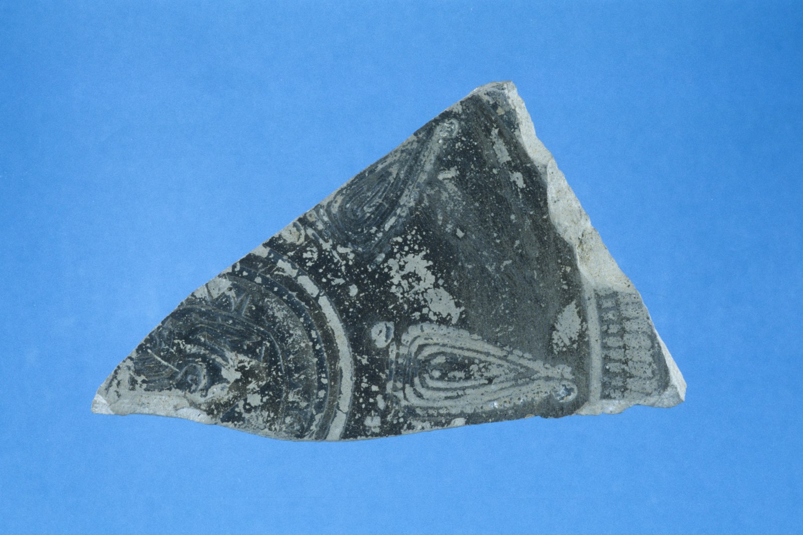 Fragment de fond de plat à décor estampé_0