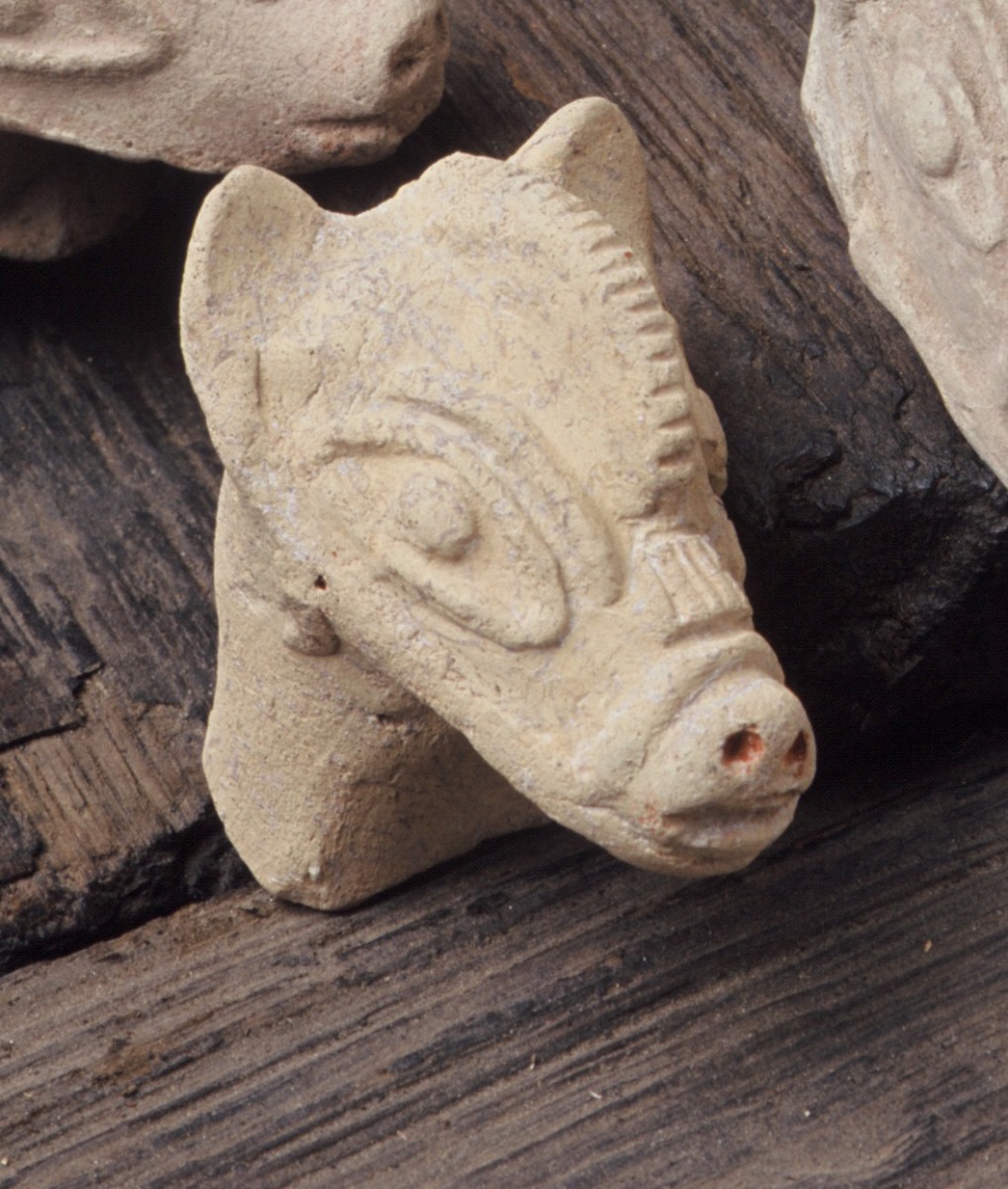 Tête d'animal ; Cheval_0