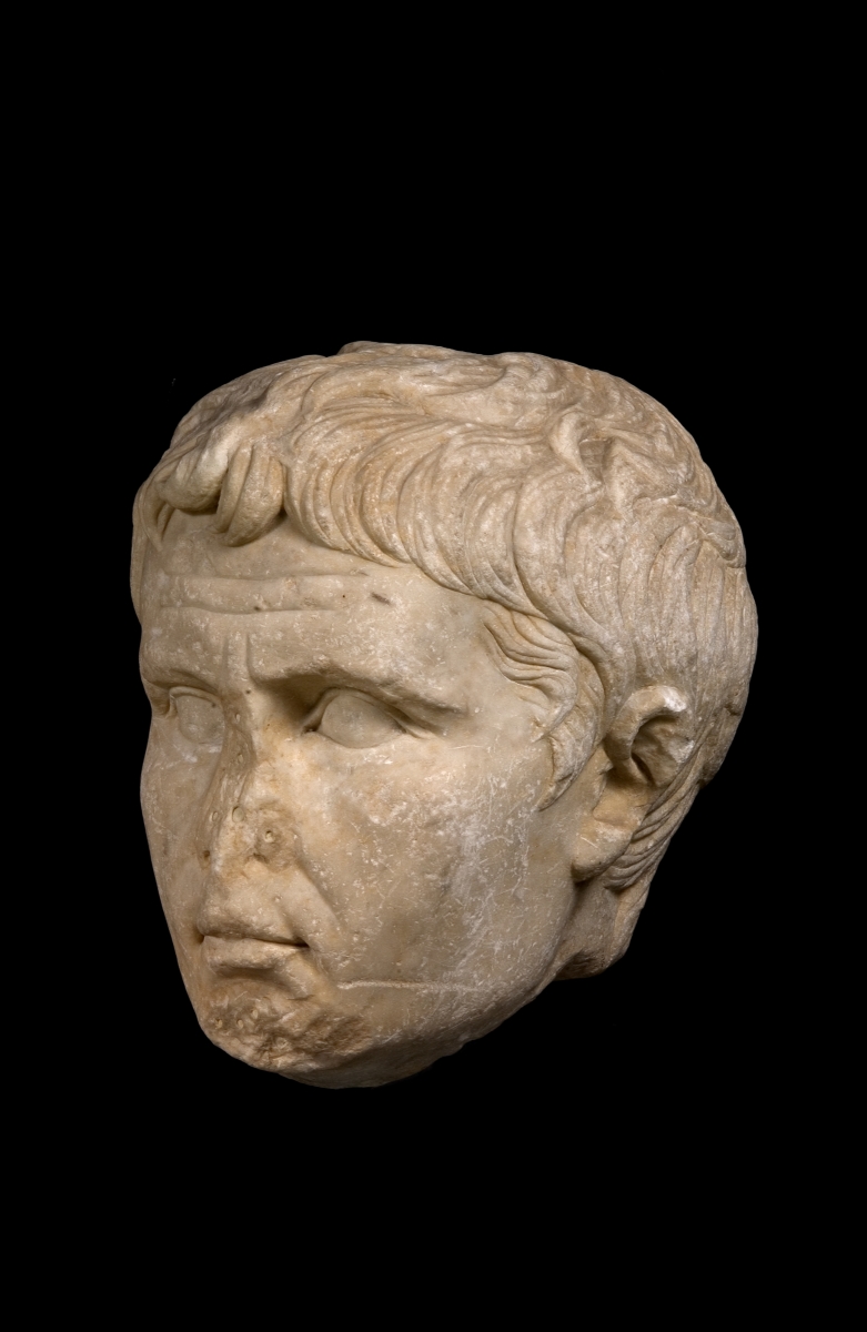 Portrait d'Auguste ; Tête colossale_7