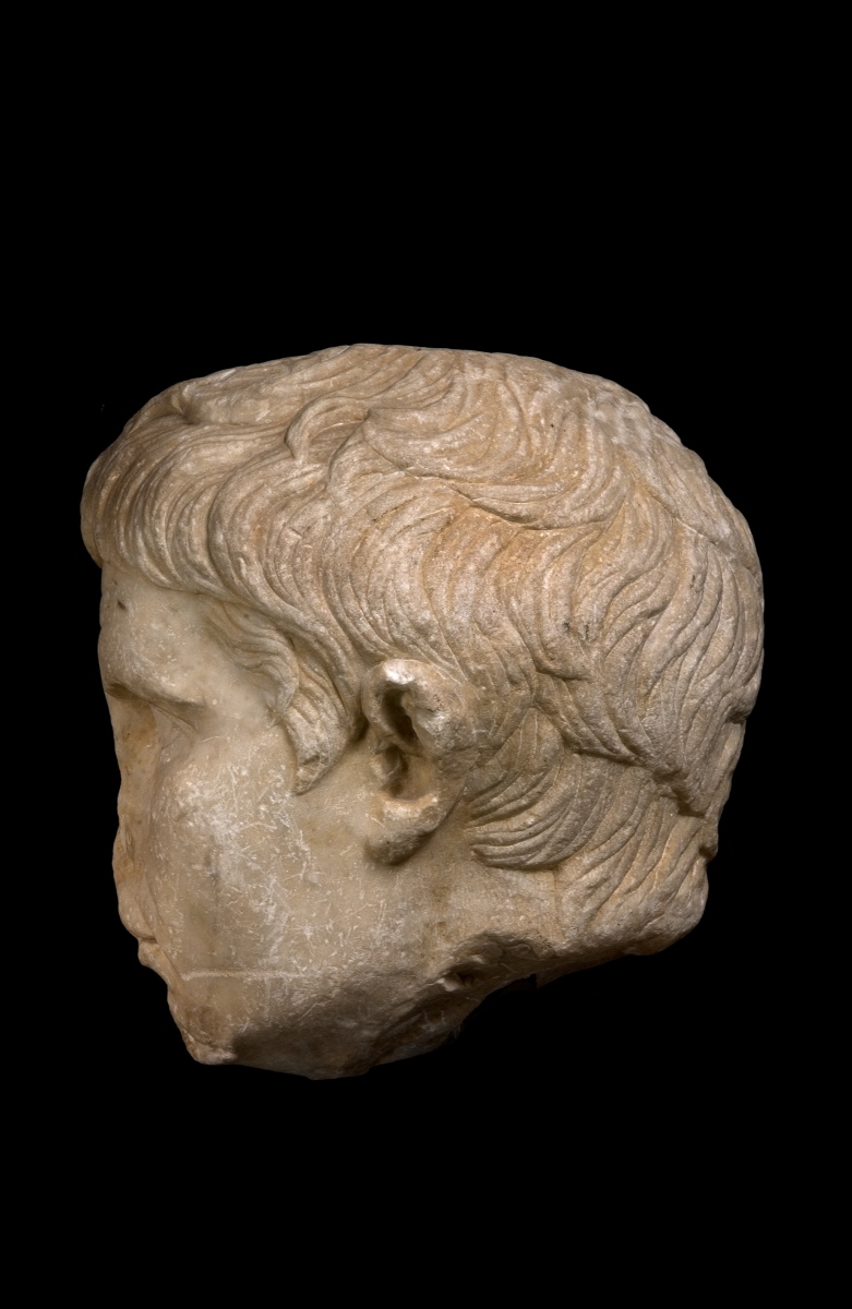 Portrait d'Auguste ; Tête colossale_6