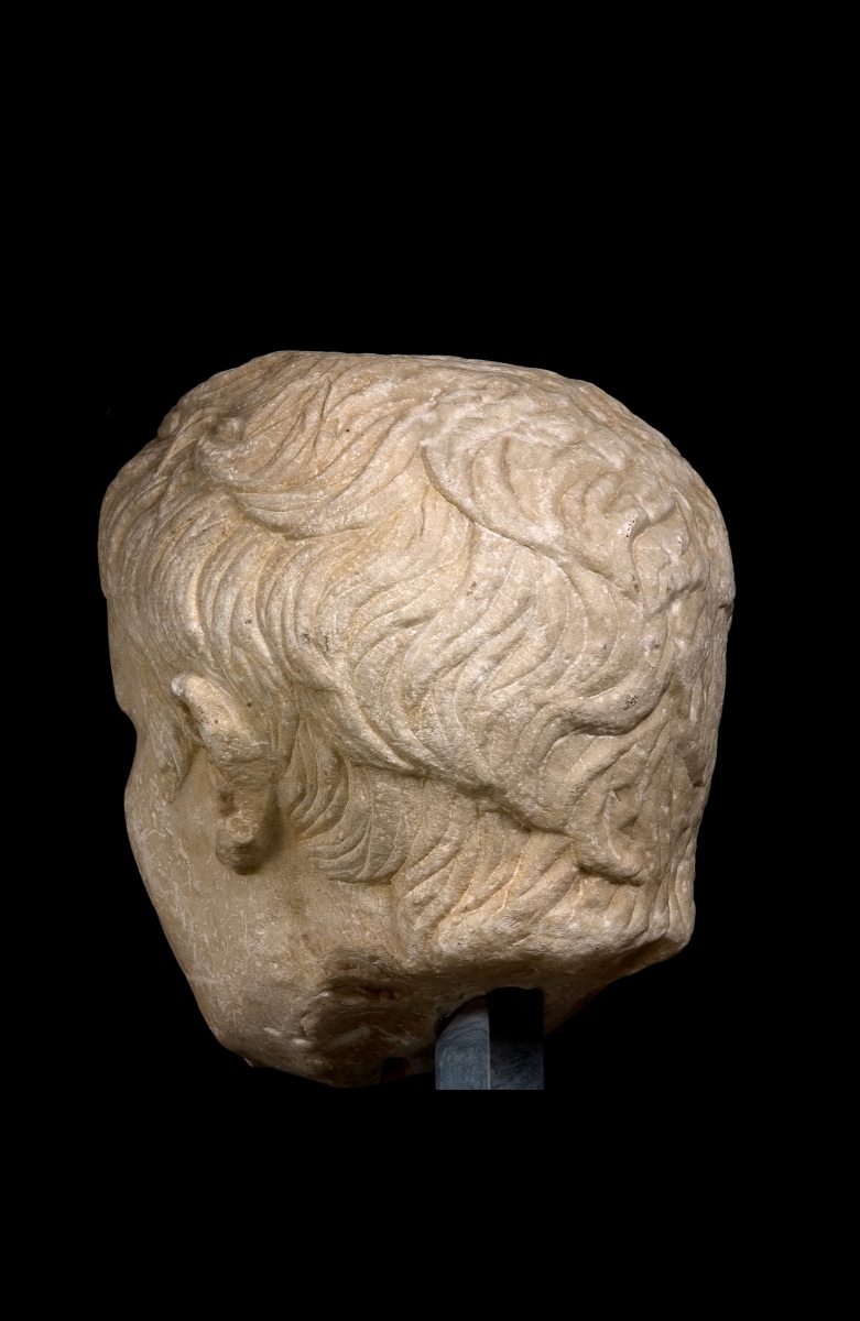 Portrait d'Auguste ; Tête colossale_5