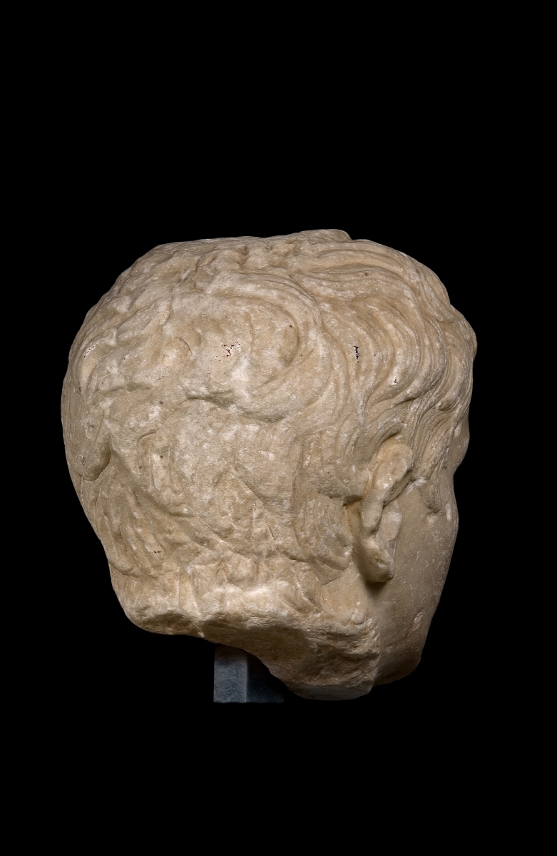 Portrait d'Auguste ; Tête colossale_3