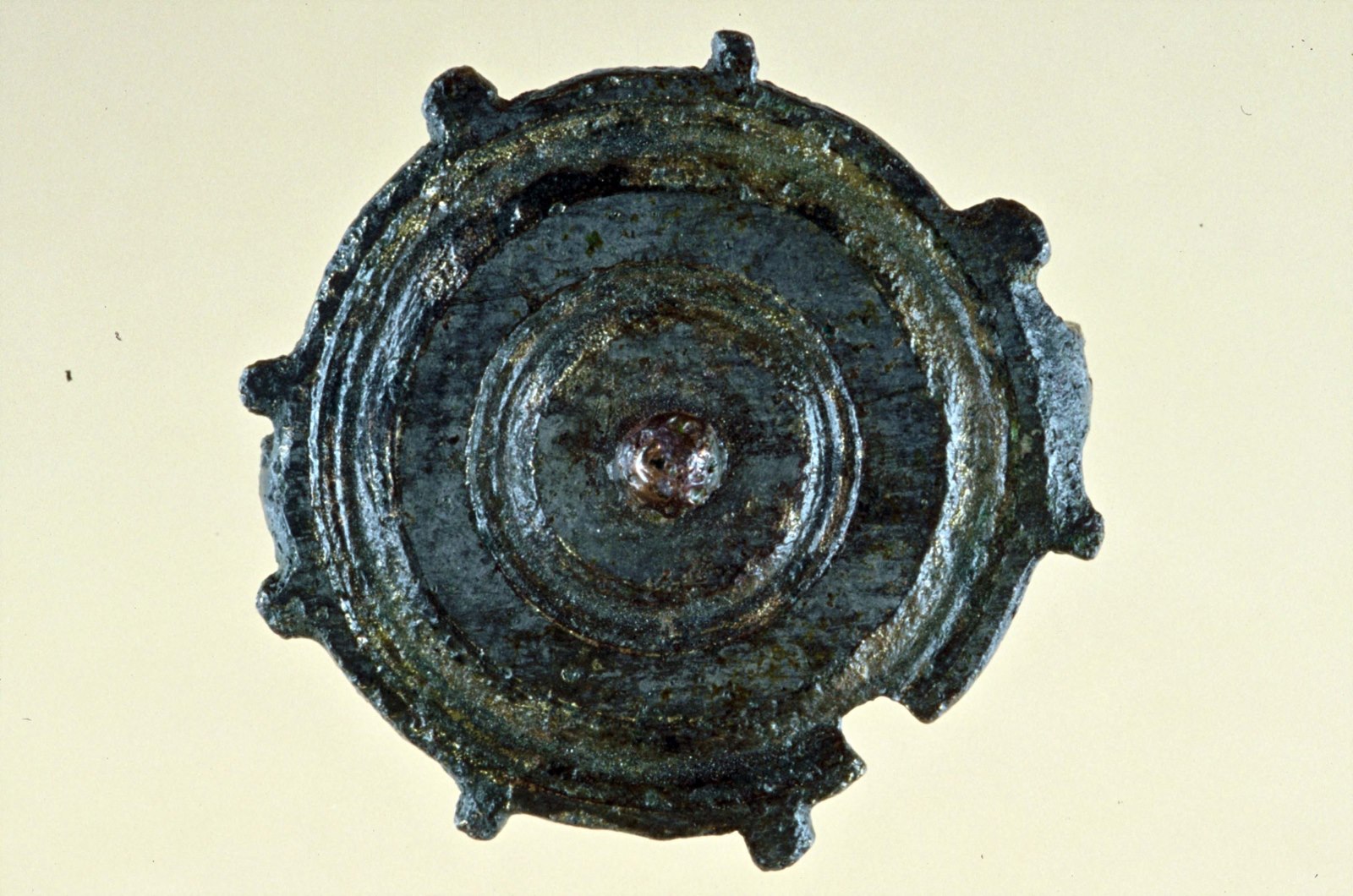 Fibule circulaire à protubérances périphériques_0