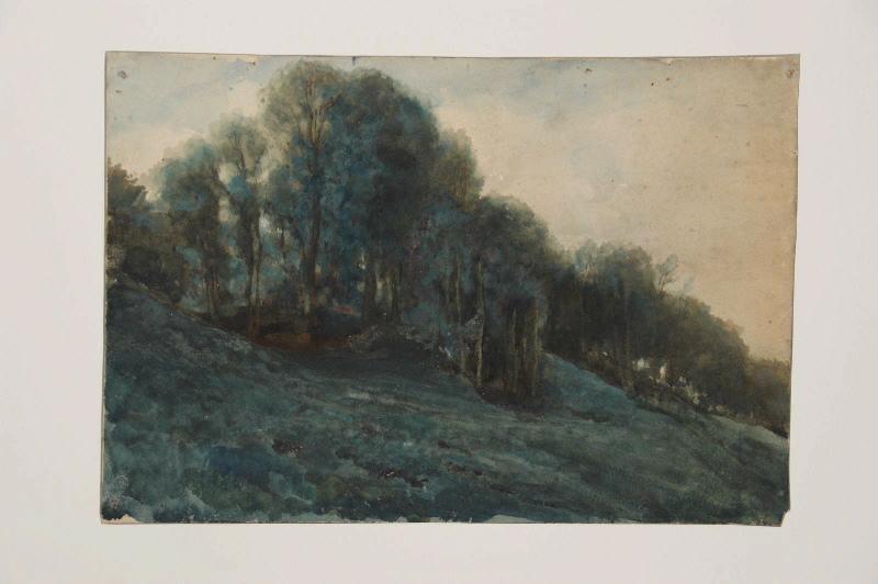 Collines boisées, Marcel Briguiboul, 1857-1892