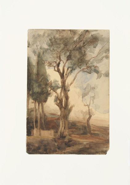 Etude d'arbres, Marcel Briguiboul, 1857-1892