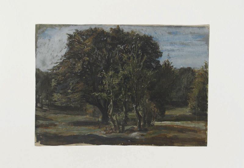 Bouquet d'arbres autour d'une mare (ou Sombre bosquet d'arbres), Marcel Briguiboul, 1857-1892