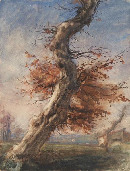 Paysage au vieux chêne, Marcel Briguiboul, 1857-1892