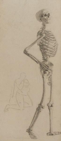 Squelette de profil (verso), Marcel Briguiboul, 1857-1892