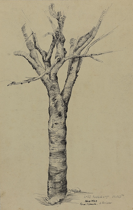 Le Cerisier, René Izaure, 1953