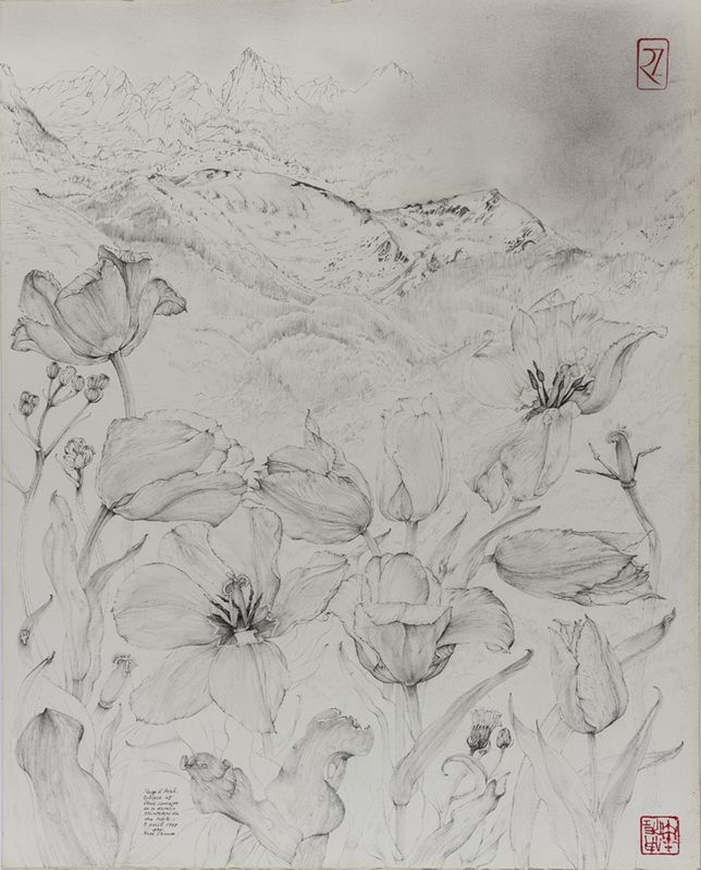 Neige d'avril, tulipes et fleurs sauvages en ce dernier printemps du siècle, René Izaure, 1999