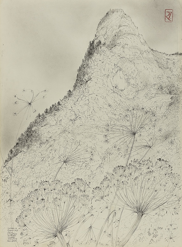 Montagne de Berquié et fleurs d'angéliques sauvages, Vicdessos, René Izaure, 2001