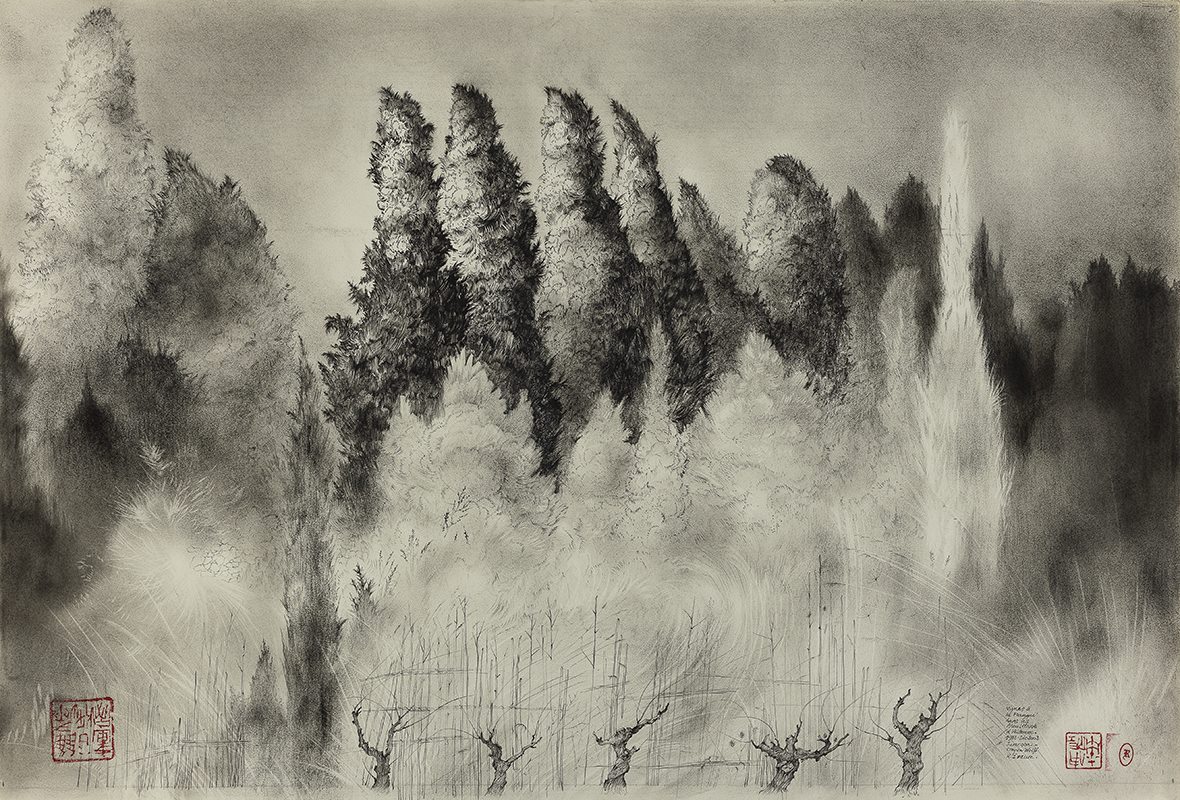 Vignes à la Franqui dans les broullards d'automne, René Izaure, 1982-2002
