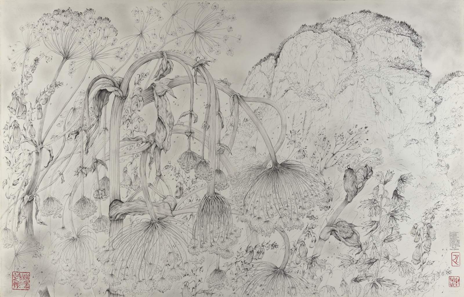 Angéliques sauvages, digitales pourpres et fleurs de montagne, prés du village de Marc dans la haute vallée de Vicdessos, René Izaure, 2003