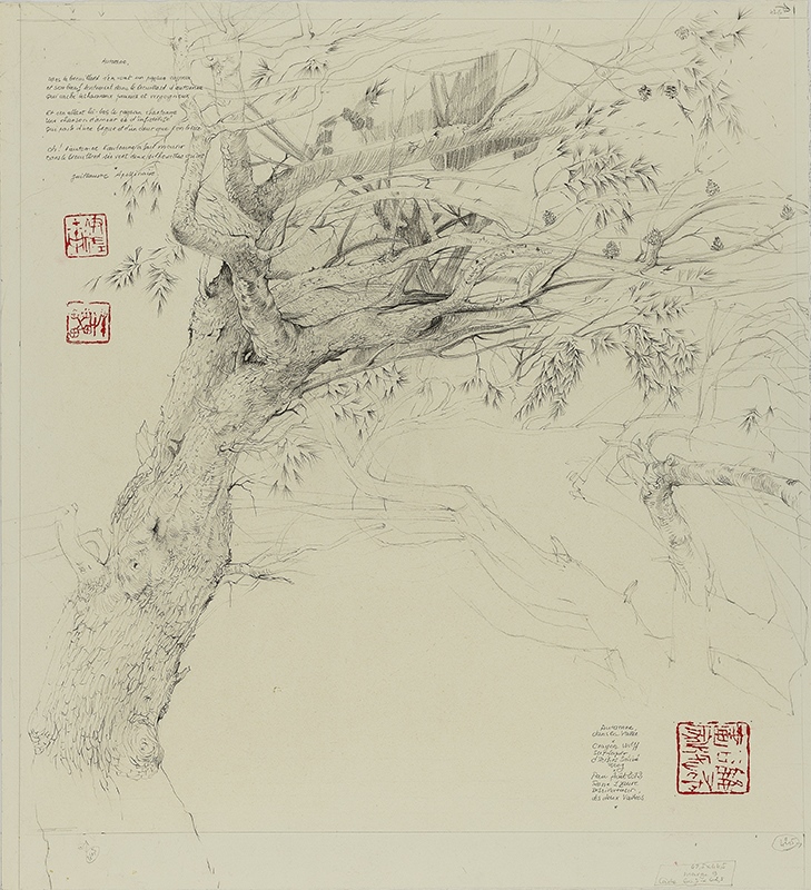 Automne dans la vallée, René Izaure, 2012