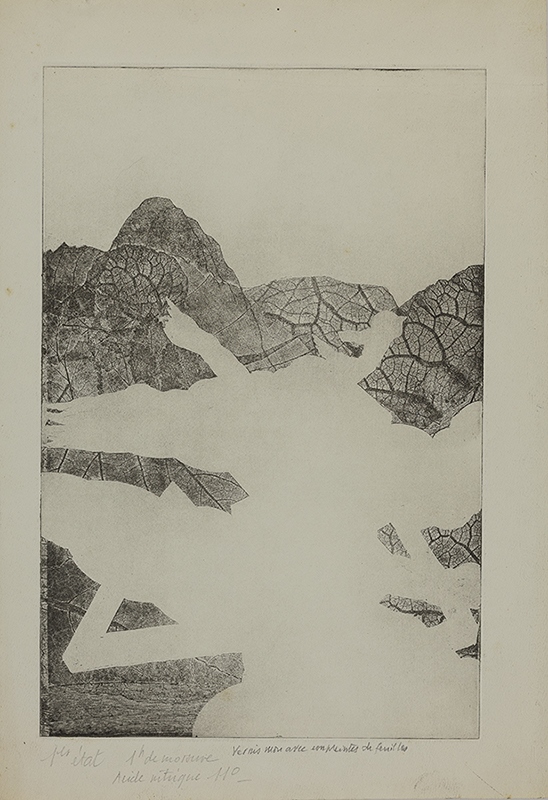 Empreintes de feuilles, René Izaure