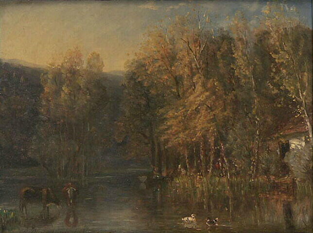 Sous-bois avec un étang_0
