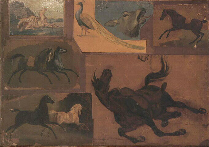 Sept études d'animaux_0