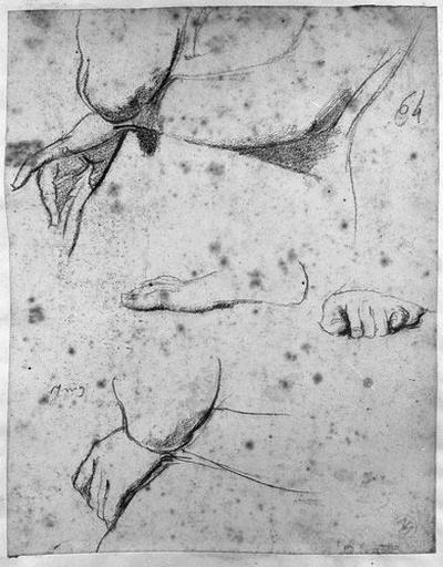 Stratonice (Deux études pour ses bras, et une pour ses pieds)_0
