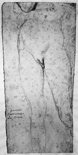 Stratonice (Partie inférieure de son corps, nu, de face)_0