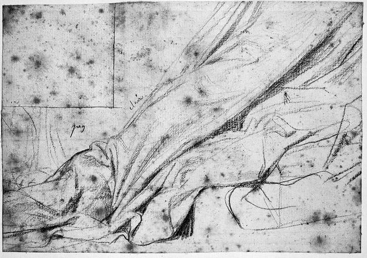 Seleucos (Partie postérieure de son manteau)_0