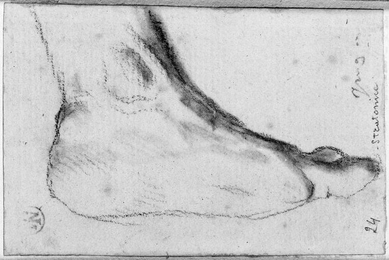 Seleucos (Son pied gauche)_0