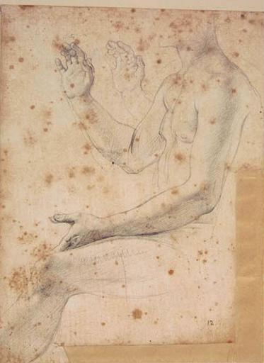 Auguste (Nu, avec reprise de la main droite.)_0