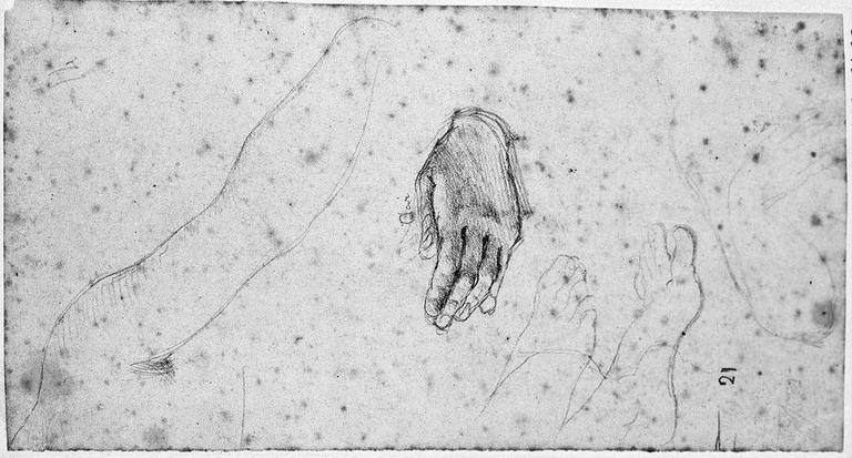 Livie (Ses deux bras, et sa main gauche à part, et deux pieds tournés vers la droite)_0
