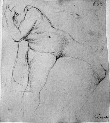 Amour au dauphin (Avec reprise du nombril et du pubis.)_0