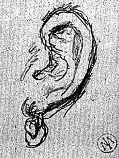 Oreille avec une boucle (Verso : des traits parallèles )_0