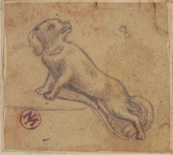 Le Chien (d'après Rubens)_0