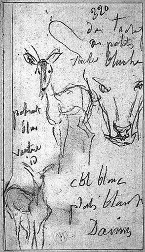 Deux Daims (Et le museau d'un troisième)_0