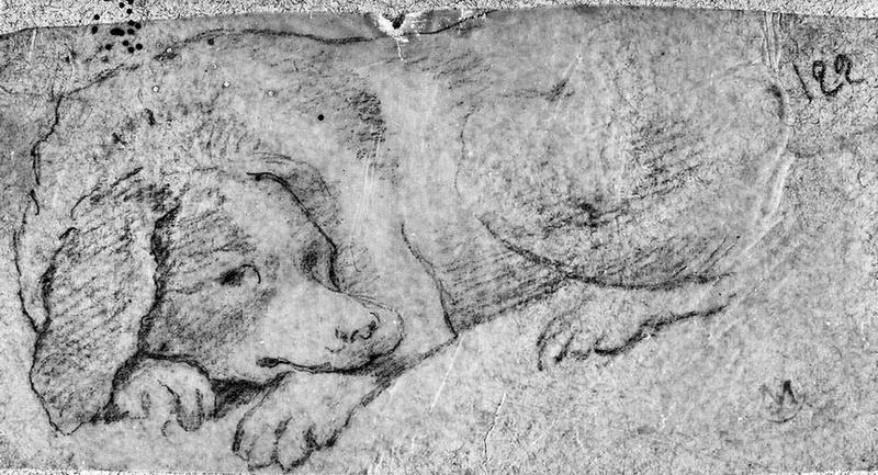 Un chien de chasse (Couché, presque de face), Jean-Auguste-Dominique Ingres, 1843 et,1847 et
