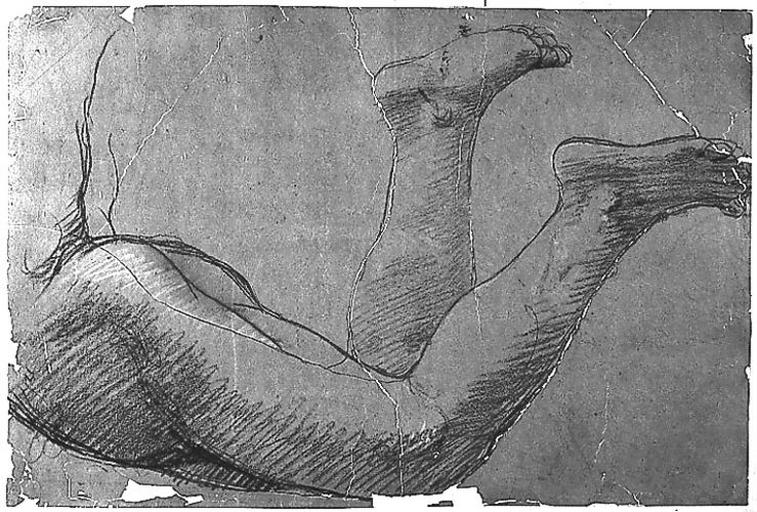 Zéphyr (Ses jambes)_0