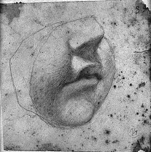 Partie d'un visage d'enfant (Tourné, vers la droite)_0