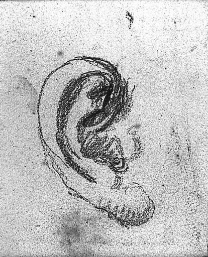Oreille_0
