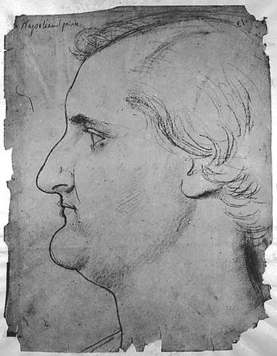 Prince Jérôme (Son profil)_0
