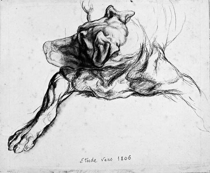 Chien couché sur le ventre, Jean-Auguste-Dominique Ingres, 1820-1824